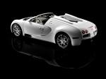 Bugatti Veyron 16.4 Grand Sport Roadster 2008 года